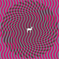 Deerhunter - Cryptograms