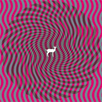 Deerhunter - Cryptograms