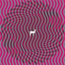 Deerhunter - Cryptograms