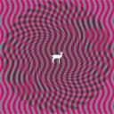 Deerhunter - Cryptograms