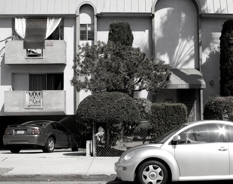 Beetle Parked on the Street